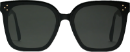 Square Sunglasses
