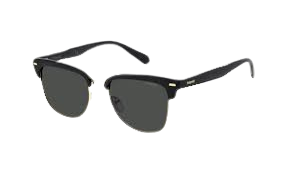 Polaroid Sunglasses
