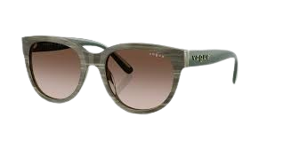 Om-Mahaveer Optical